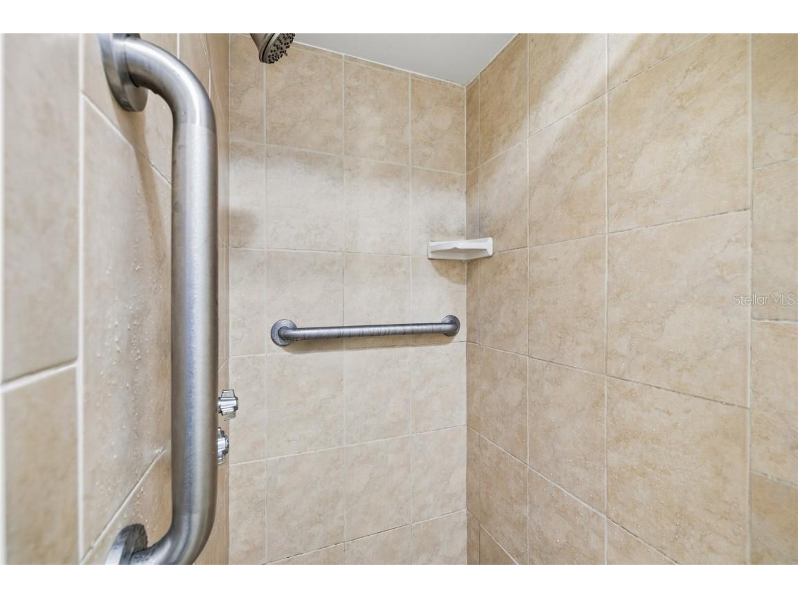 11006 Carrollwood Drive Tampa FL 33618 - LAKE CARROLL TB8447849 image20