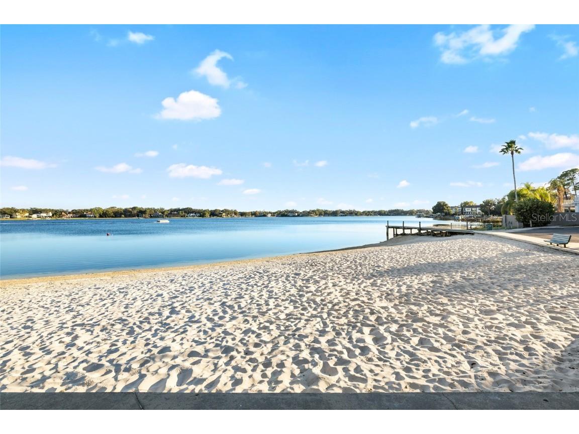 11006 Carrollwood Drive Tampa FL 33618 - LAKE CARROLL TB8447849 image45