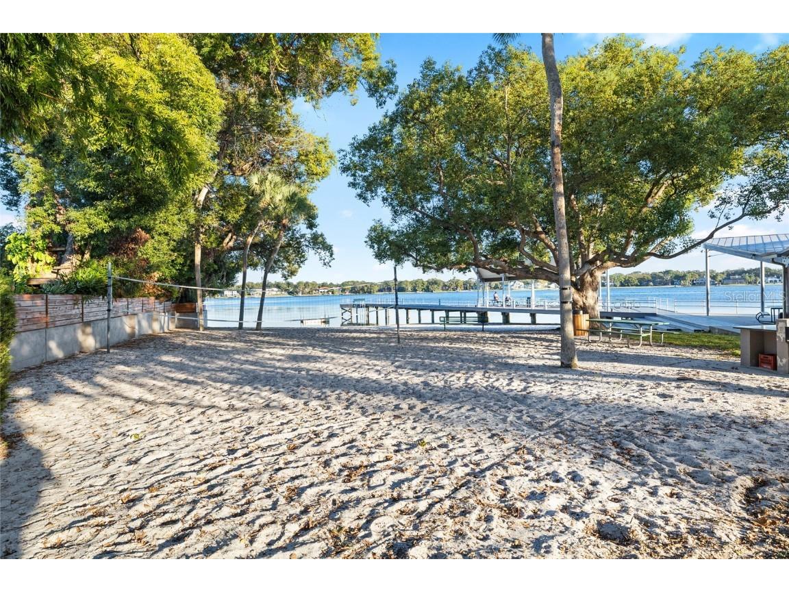 11006 Carrollwood Drive Tampa FL 33618 - LAKE CARROLL TB8447849 image46