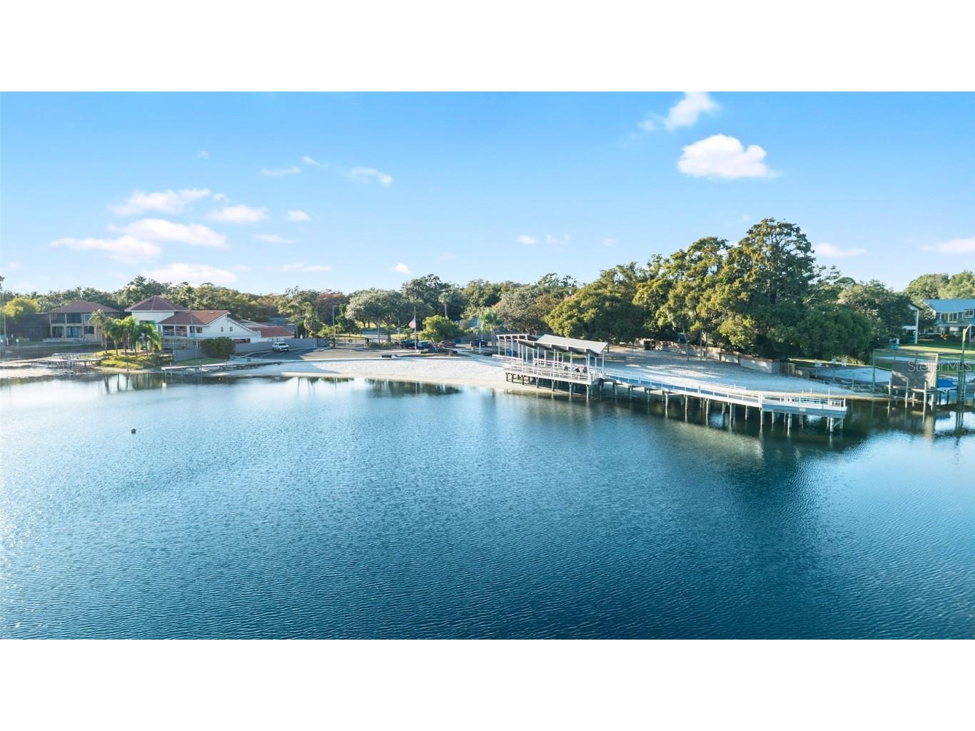 11006 Carrollwood Drive Tampa FL 33618 - LAKE CARROLL TB8447849 image47