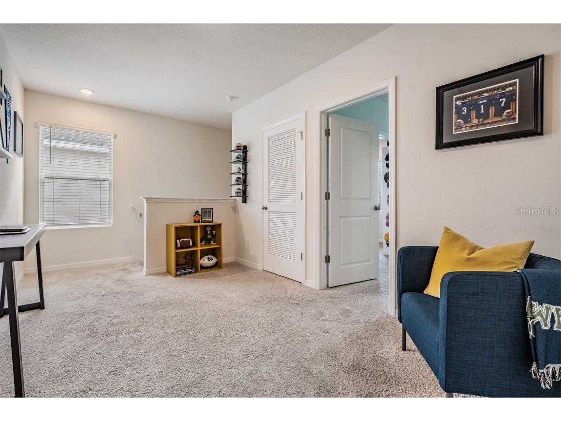 11006 Penny Gale Loop San Antonio FL 33576 TB8447848 image19