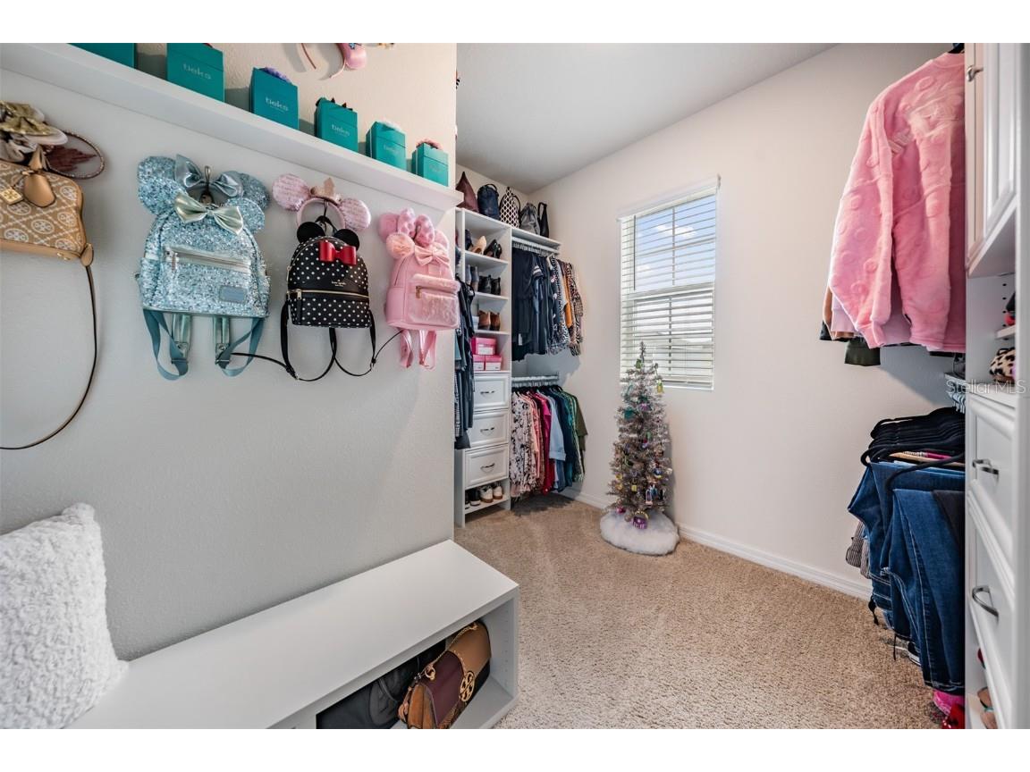 11006 Penny Gale Loop San Antonio FL 33576 TB8447848 image22