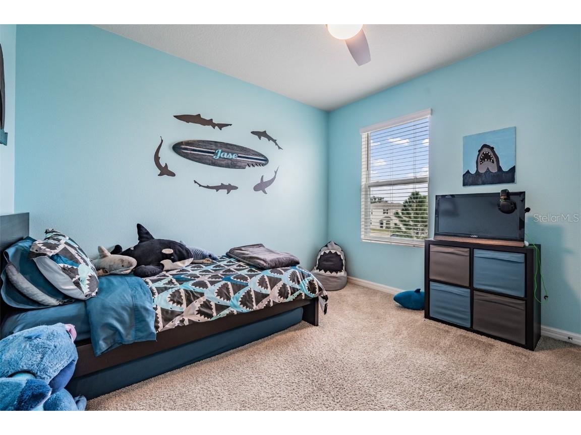 11006 Penny Gale Loop San Antonio FL 33576 TB8447848 image31