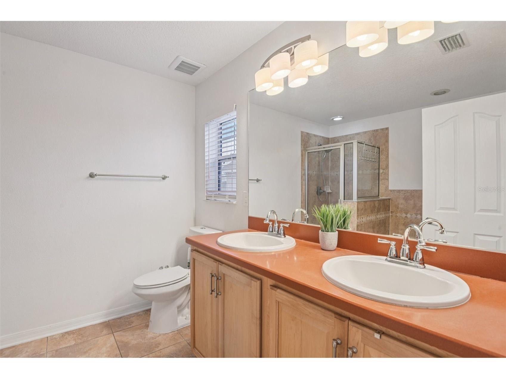 11006 Running Pine Drive Riverview FL 33569 TB8474575 image20