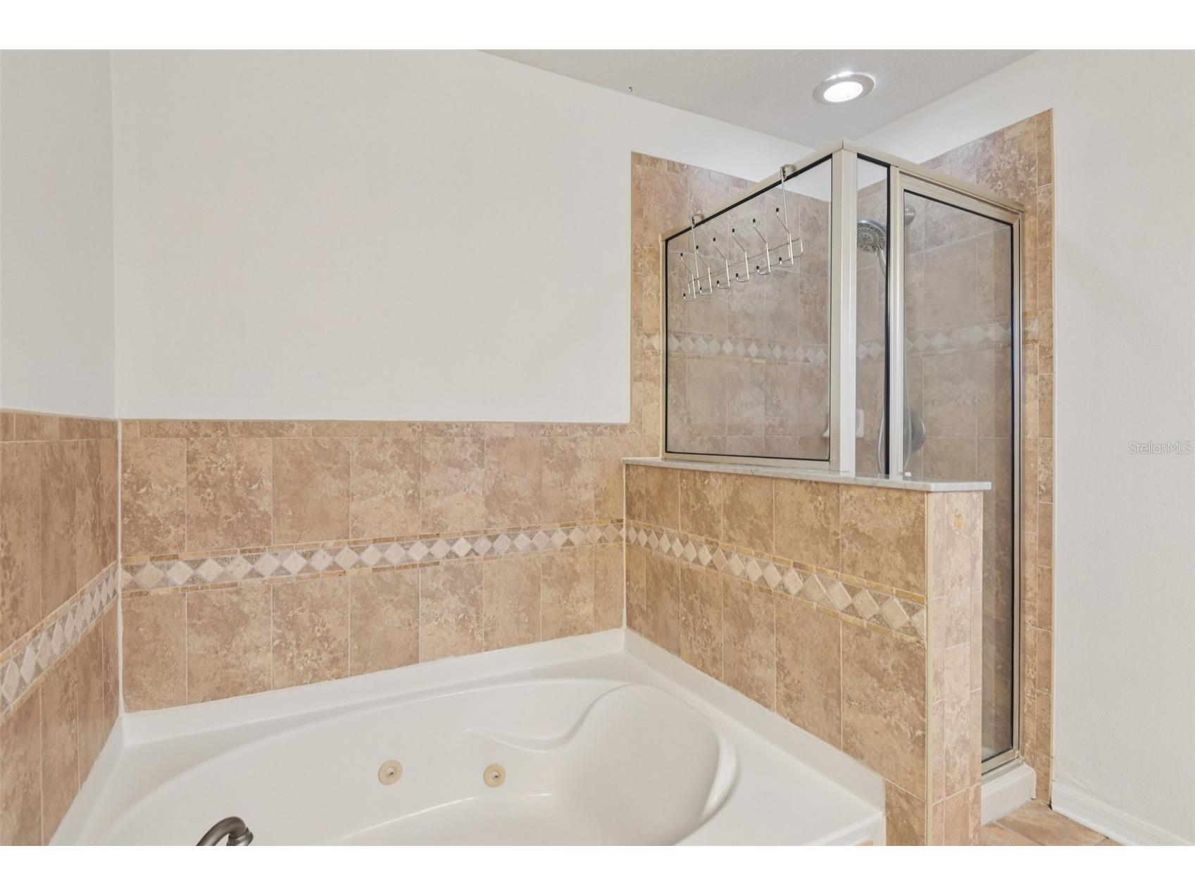 11006 Running Pine Drive Riverview FL 33569 TB8474575 image21