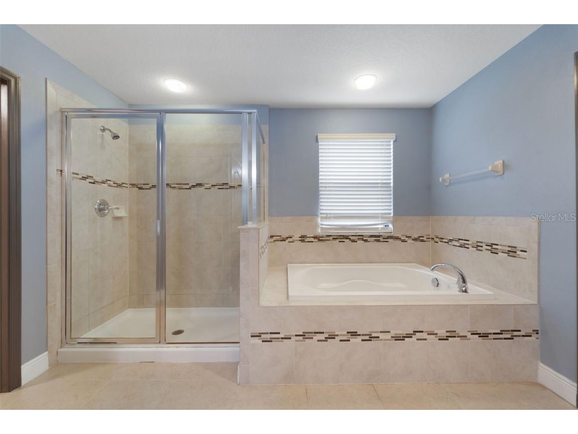 11006 Tahiti Isle Lane Tampa FL 33647 TB8386522 image34