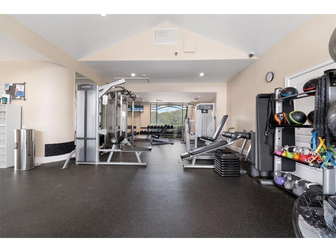 11006 Tahiti Isle Lane Tampa FL 33647 TB8386522 image40