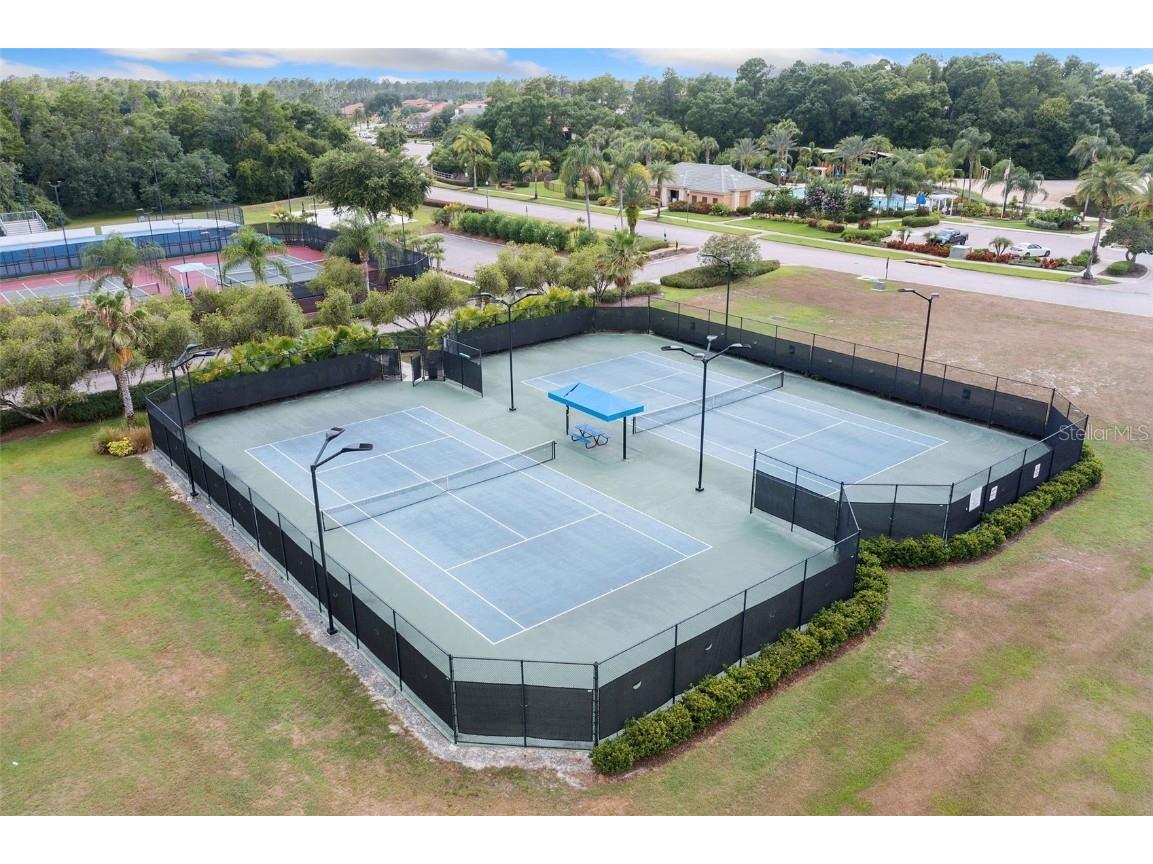 11006 Tahiti Isle Lane Tampa FL 33647 TB8415666 image54