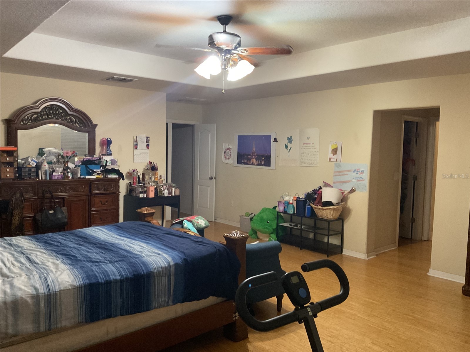 11007 Standing Stone Drive Wimauma FL 33598 TB8509787 image10