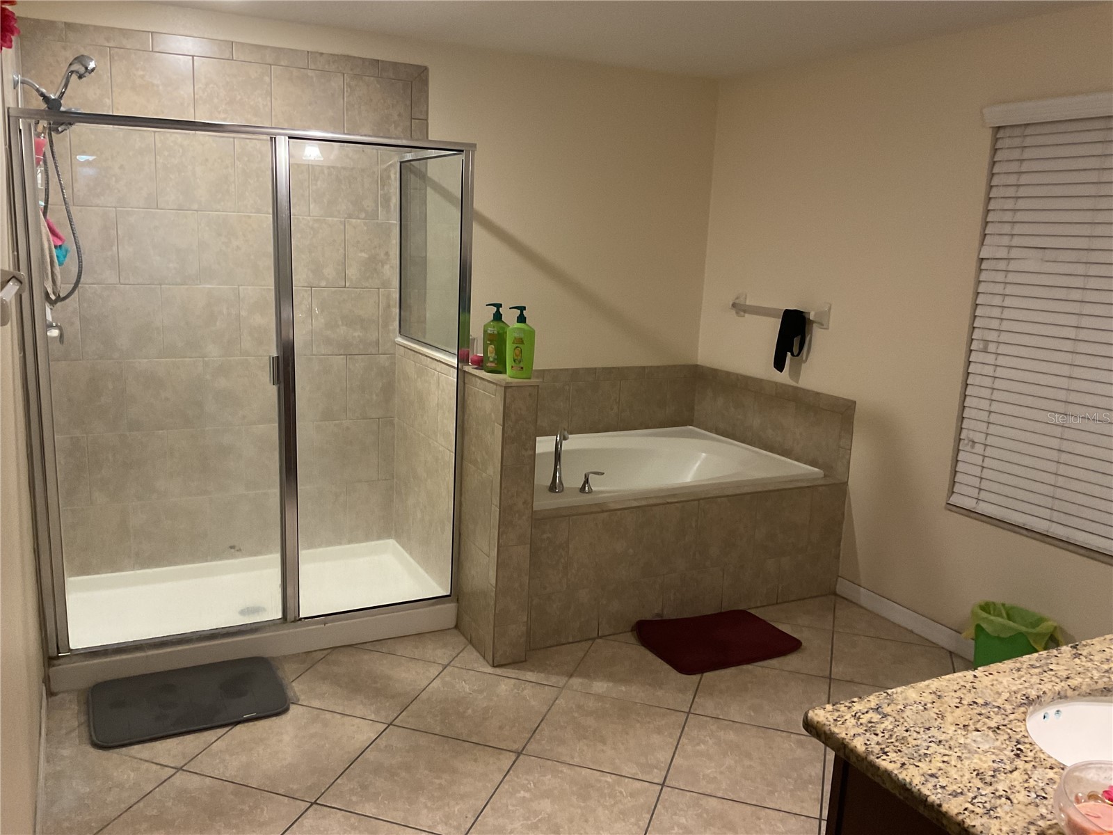 11007 Standing Stone Drive Wimauma FL 33598 TB8509787 image12
