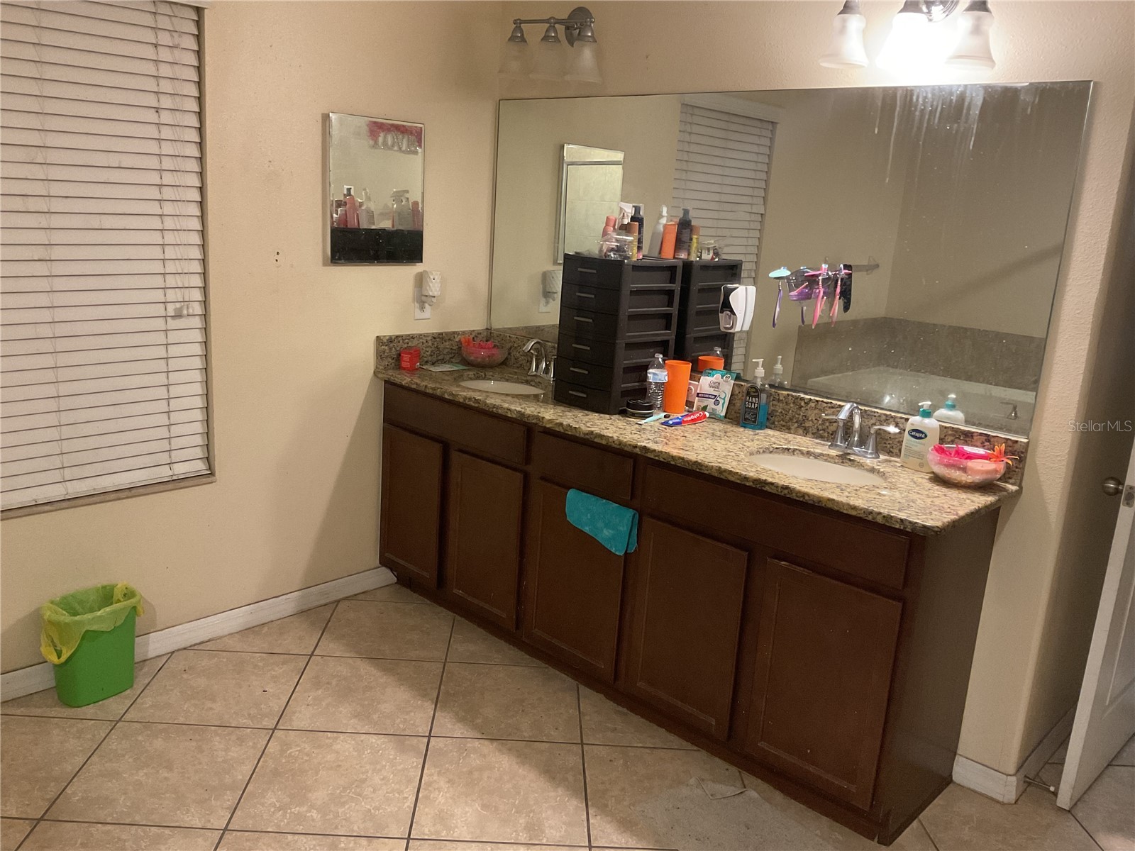 11007 Standing Stone Drive Wimauma FL 33598 TB8509787 image13