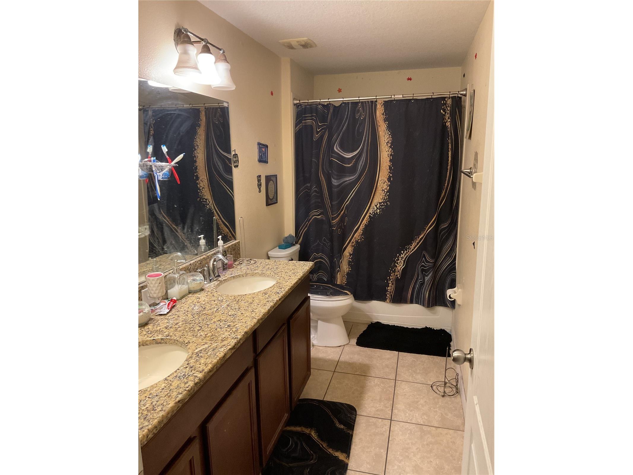 11007 Standing Stone Drive Wimauma FL 33598 TB8509787 image16