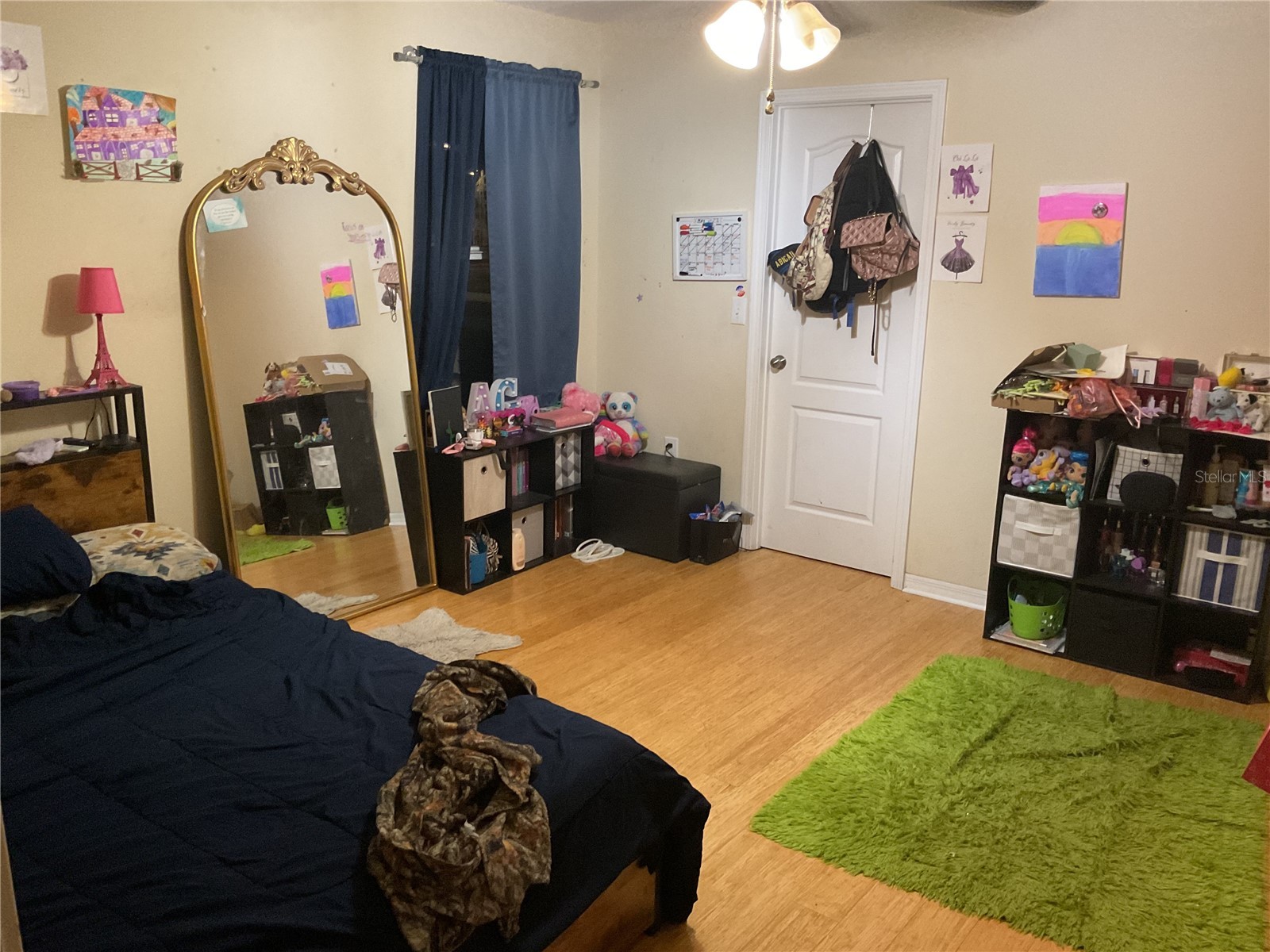 11007 Standing Stone Drive Wimauma FL 33598 TB8509787 image17