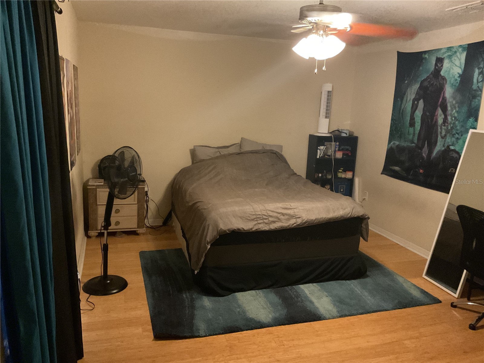 11007 Standing Stone Drive Wimauma FL 33598 TB8509787 image19