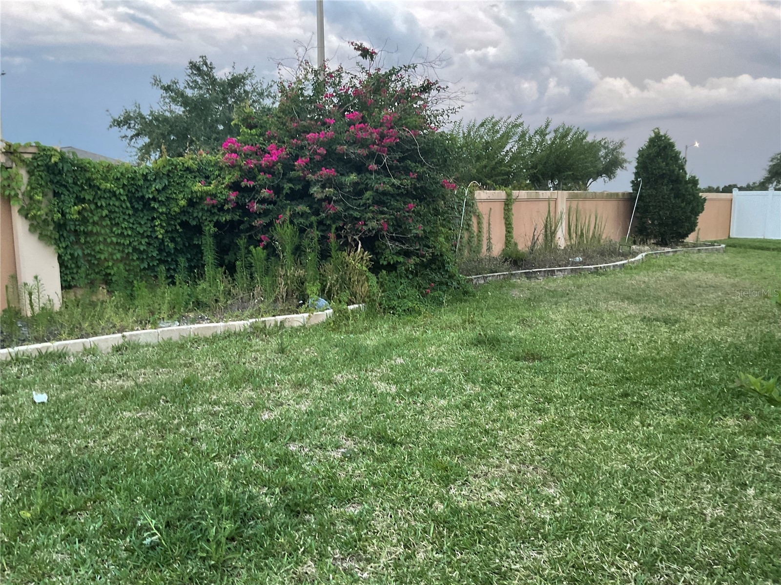 11007 Standing Stone Drive Wimauma FL 33598 TB8509787 image21