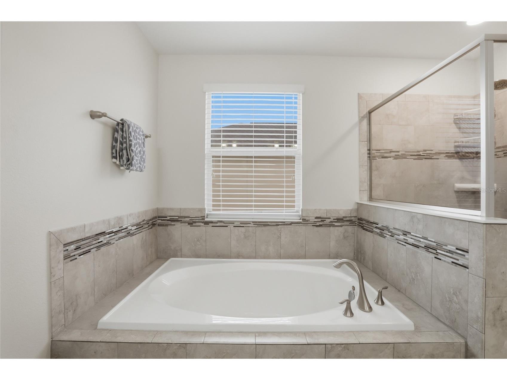 11007 Sycamore Woods Drive Orlando FL 32832 S5150043 image27