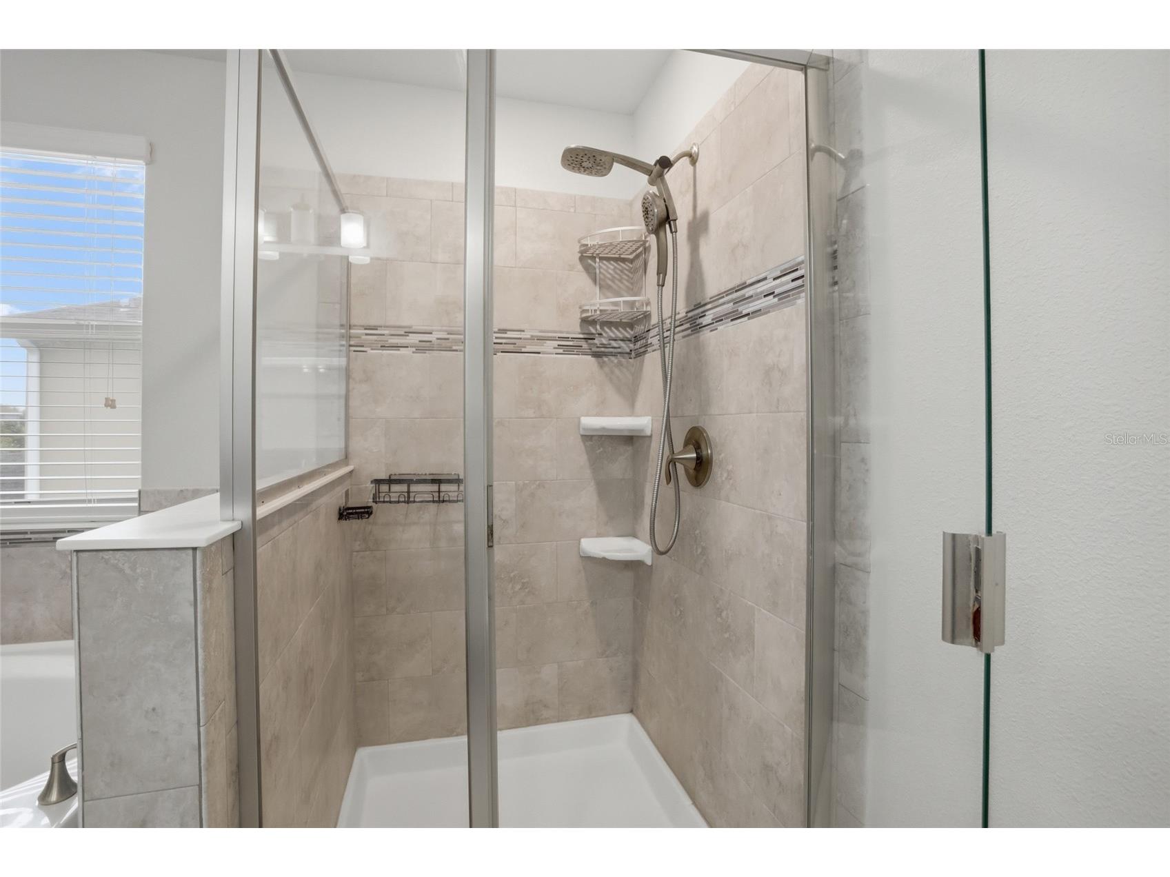 11007 Sycamore Woods Drive Orlando FL 32832 S5150043 image28
