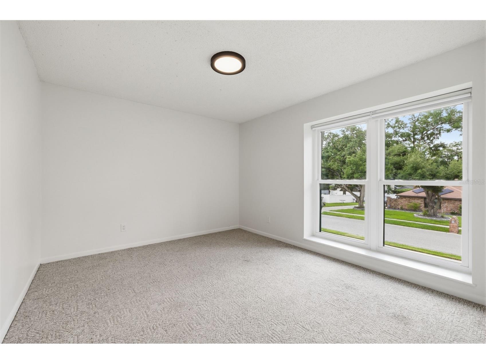 11007 Theresa Arbor Drive Tampa FL 33617 TB8529899 image37