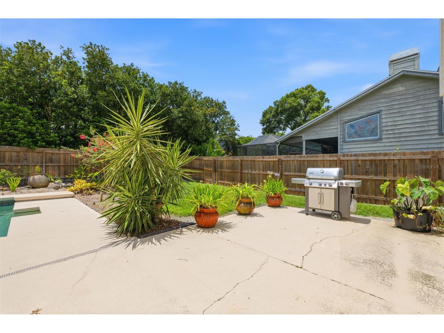 11007 Theresa Arbor Drive Tampa FL 33617 TB8529899 image48