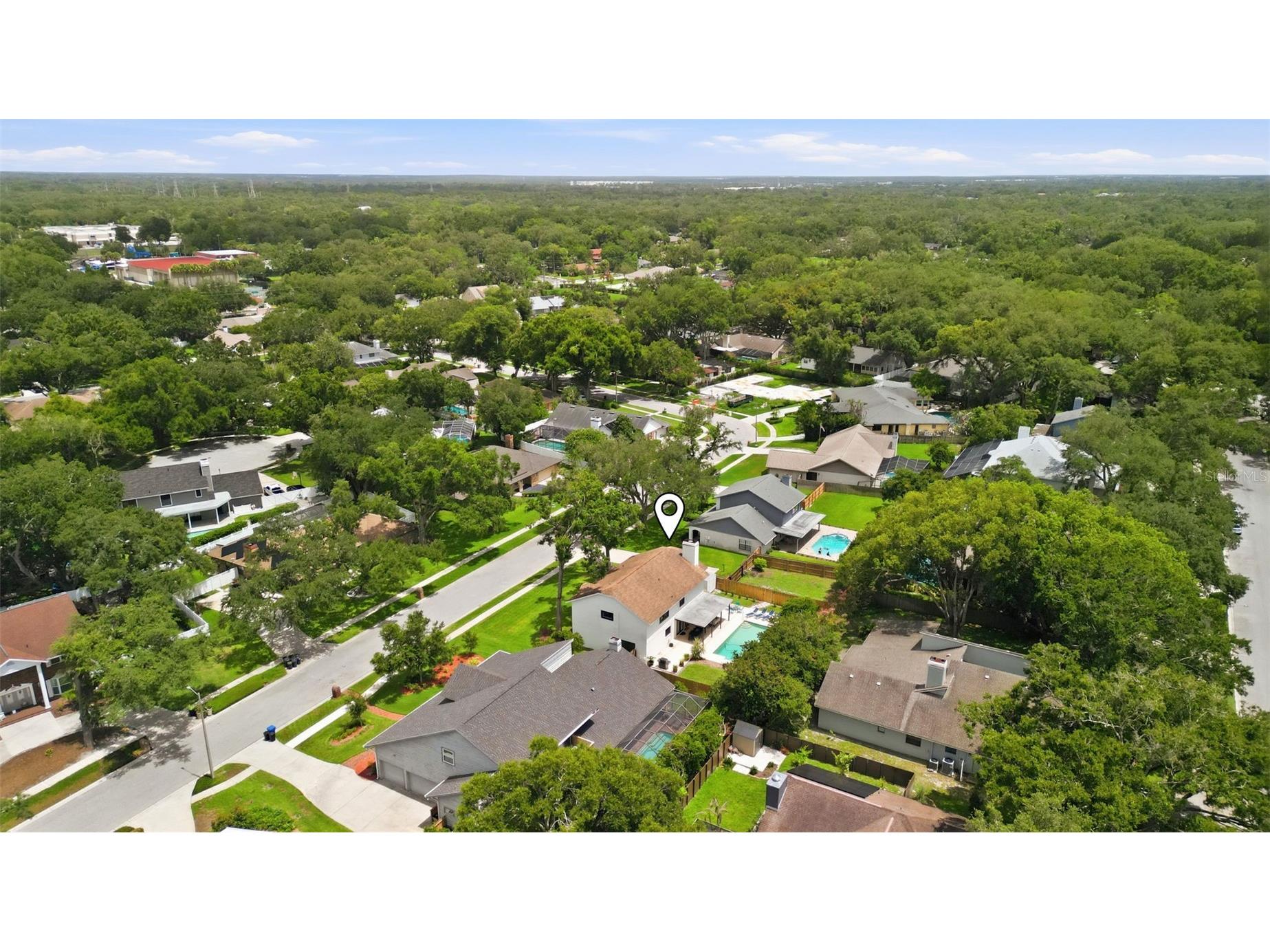 11007 Theresa Arbor Drive Tampa FL 33617 TB8529899 image53