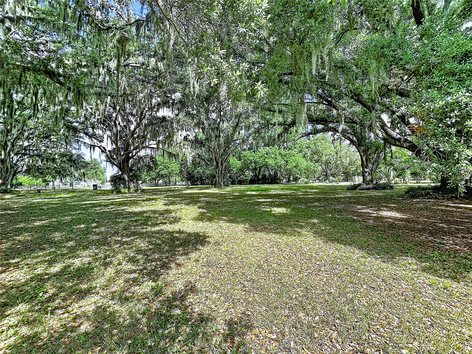 11008 Browning Road Lithia FL 33547 TB8500523 image10