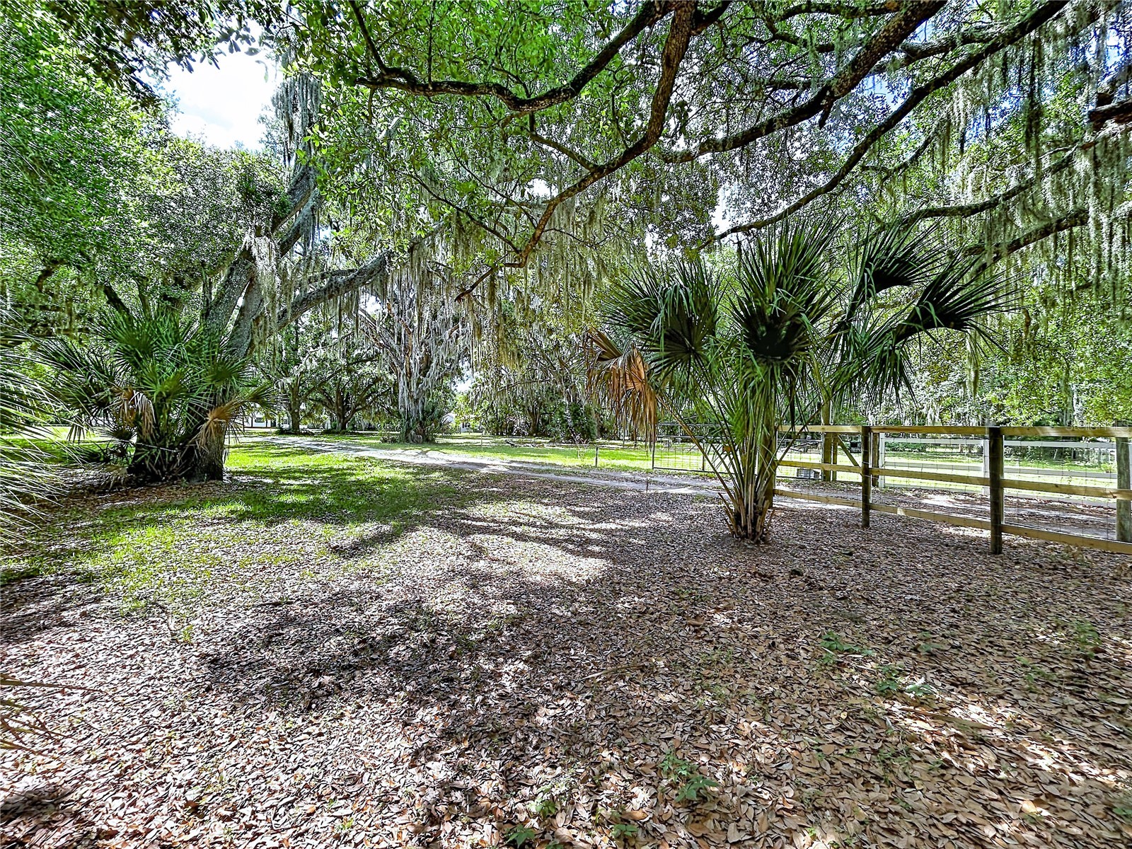 11008 Browning Road Lithia FL 33547 TB8500523 image2