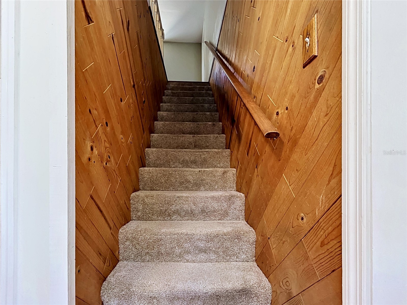 11008 Browning Road Lithia FL 33547 TB8500523 image41