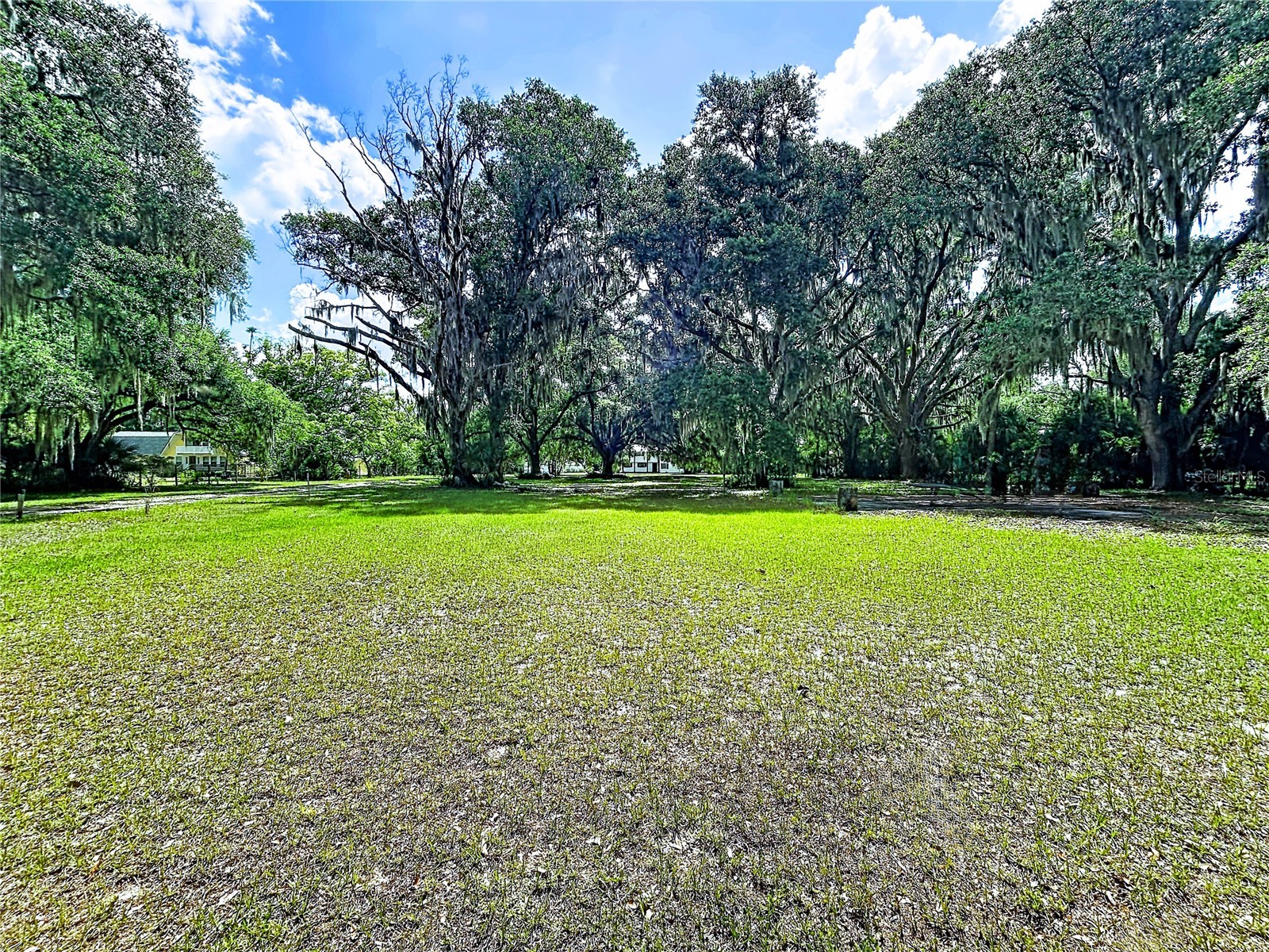 11008 Browning Road Lithia FL 33547 TB8500523 image7