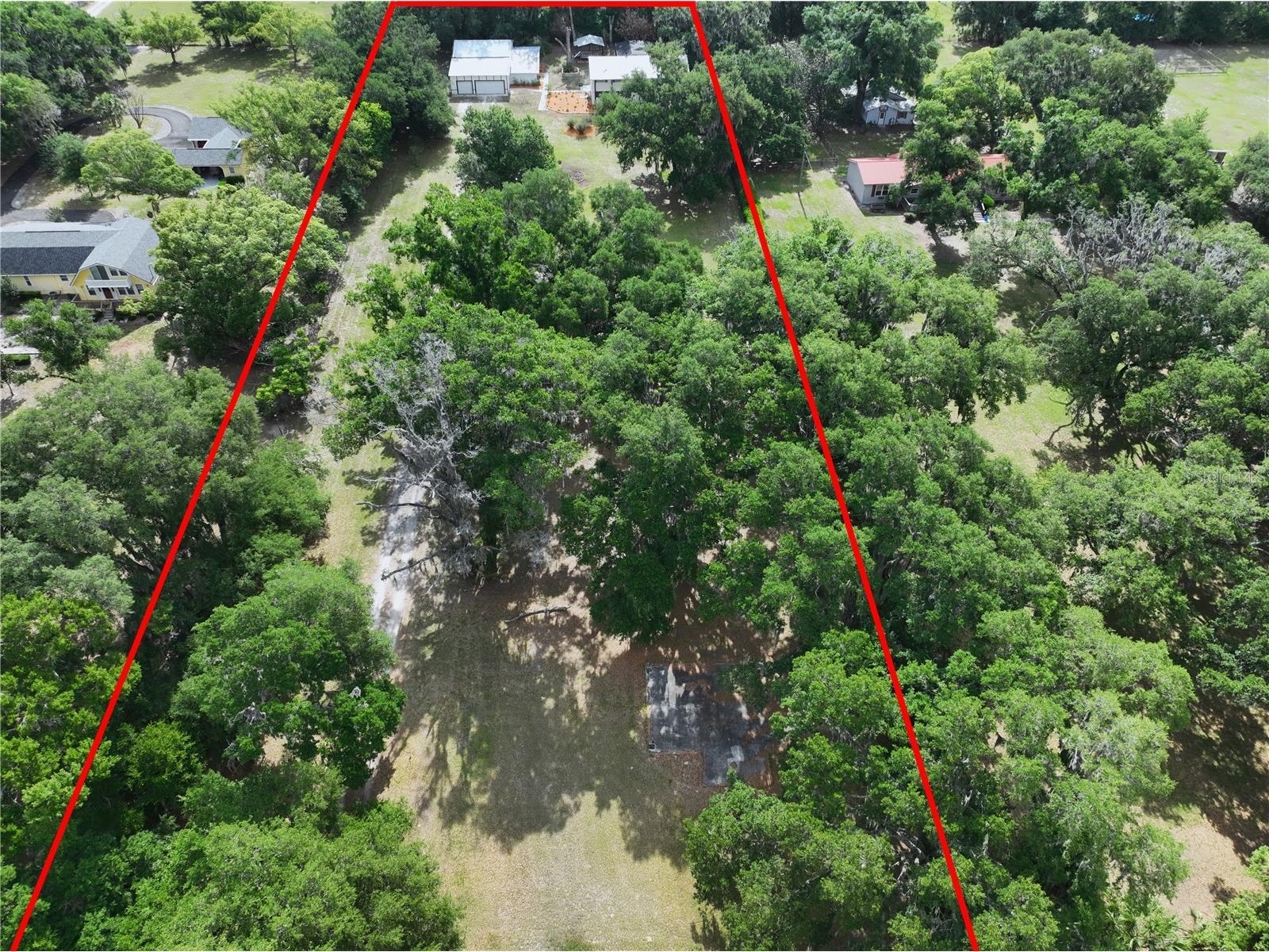 11008 Browning Road Lithia FL 33547 TB8500523 image76