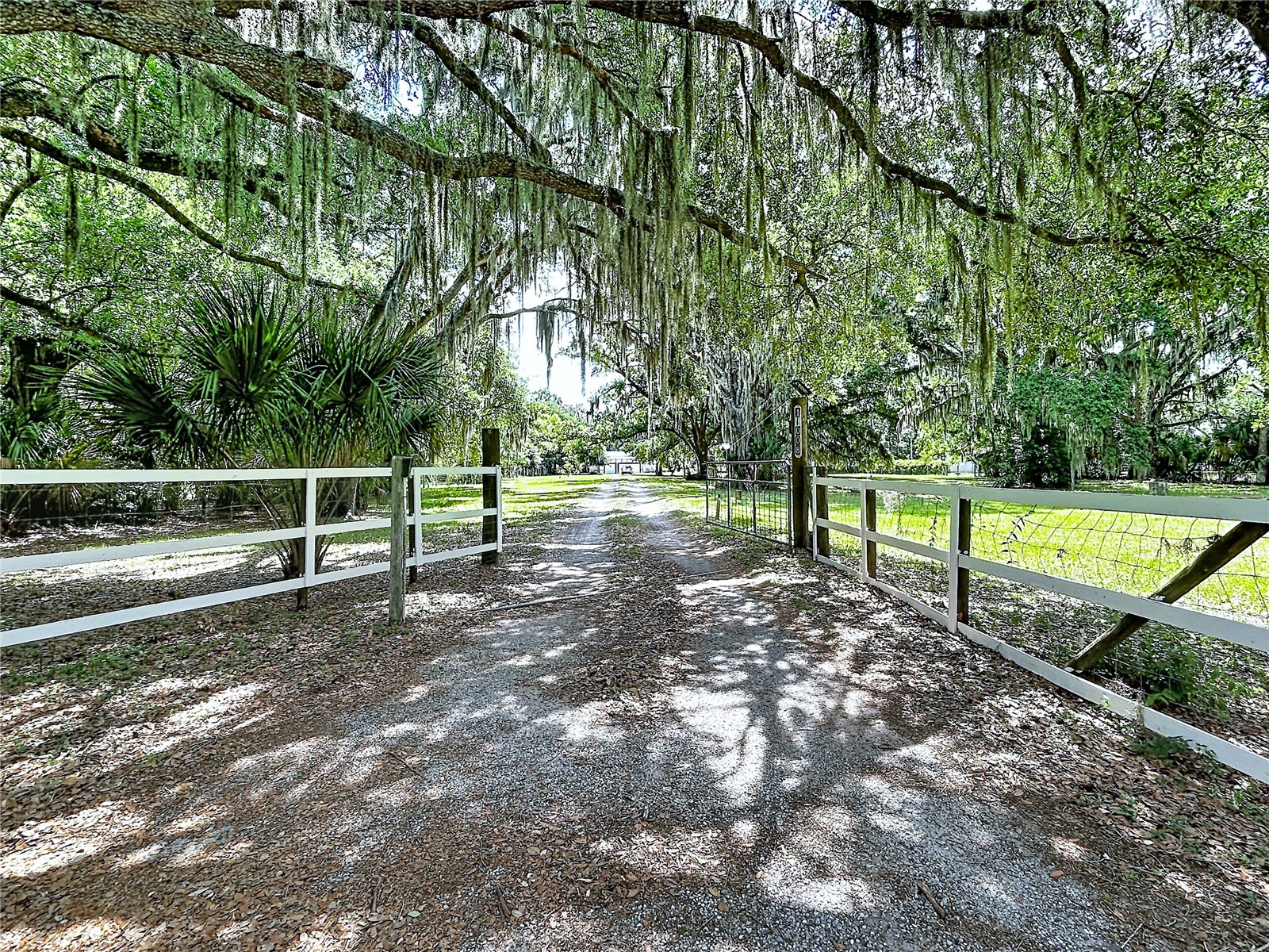 11008 Browning Road Lithia FL 33547 TB8500523 image8