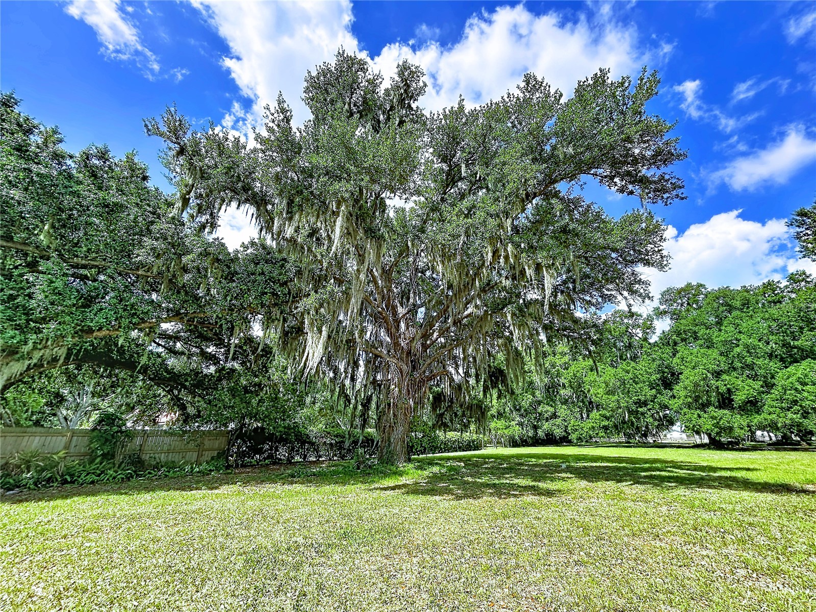 11008 Browning Road Lithia FL 33547 TB8500523 image9