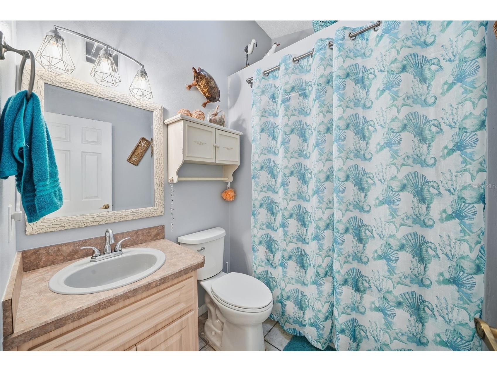 11008 Casa Grande Spring Hill FL 34608 TB8480641 image16