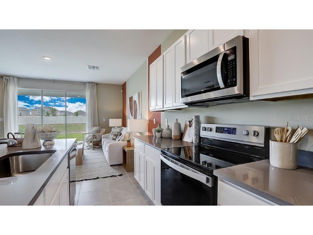 11008 Crescent Deer Drive Land O Lakes FL 34638 TB8454728 image10