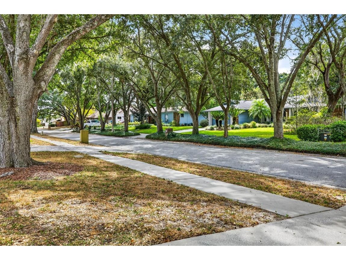 11009 Cinderlane Place Temple Terrace FL 33617 TB8443333 image50