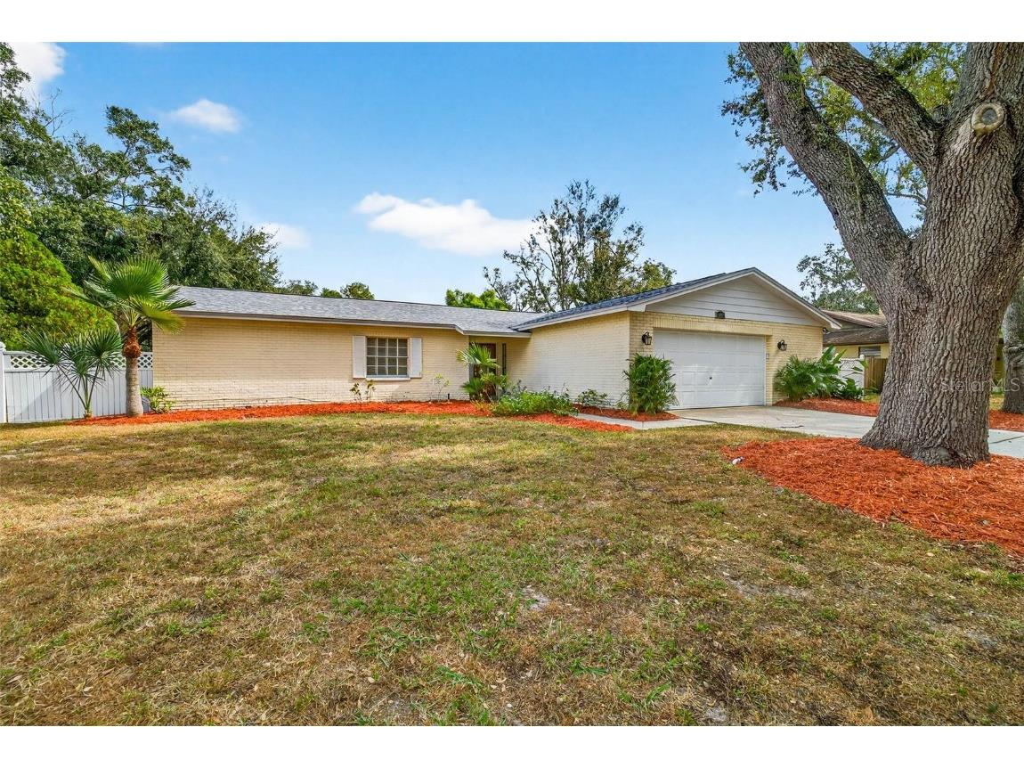 11009 Cinderlane Place Temple Terrace FL 33617 TB8443333 image52