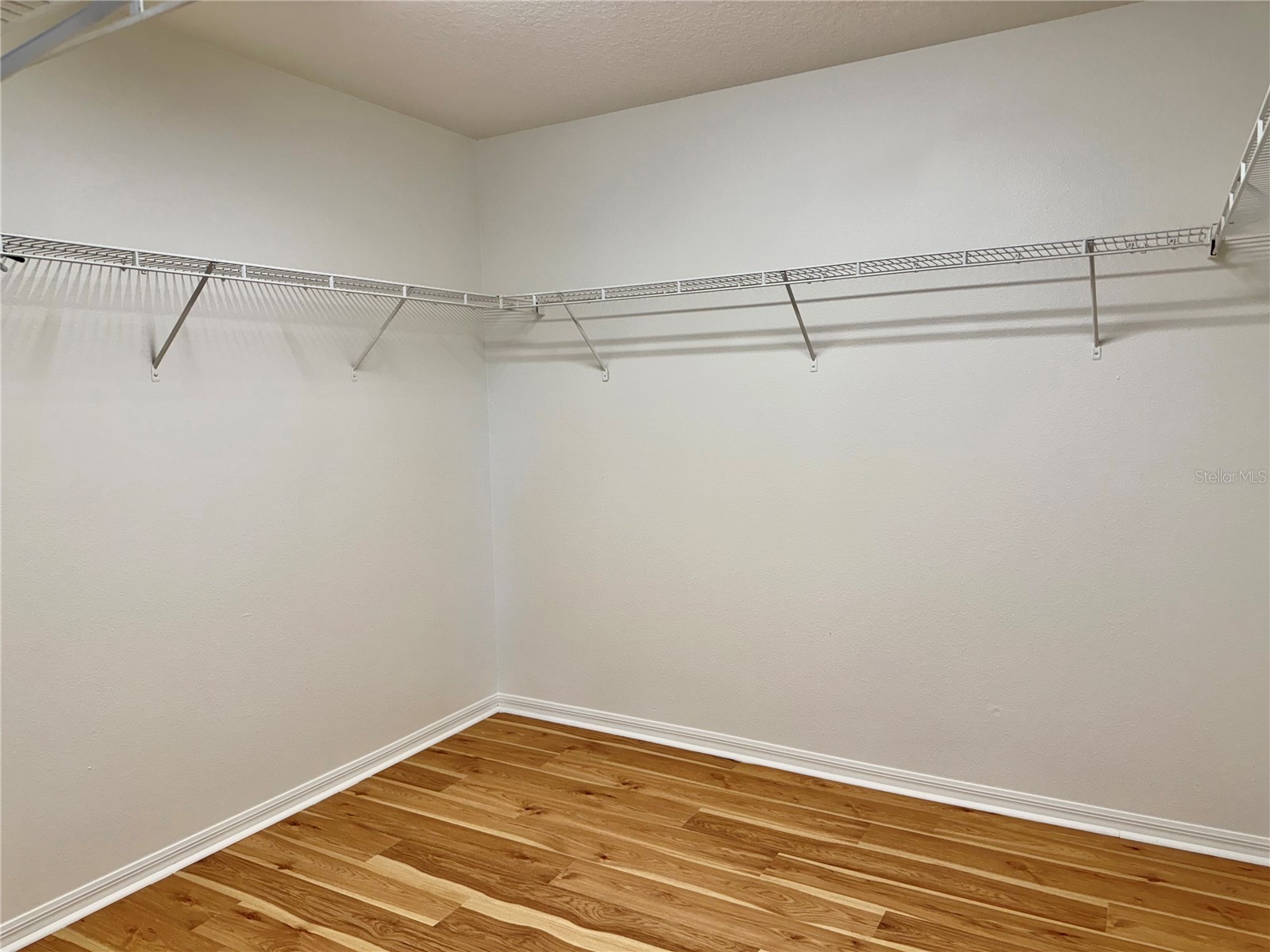 11009 Golden Silence Drive Riverview FL 33579 TB8505823 image11
