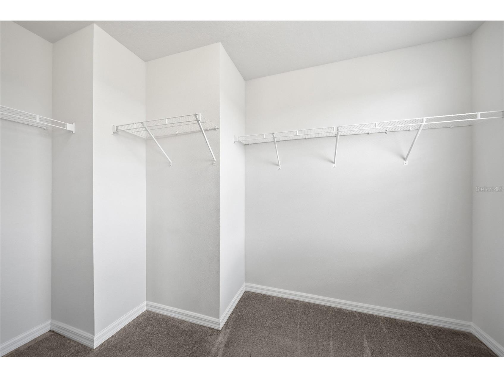 11009 Green Harvest Drive Riverview FL 33578 TB8495178 image27