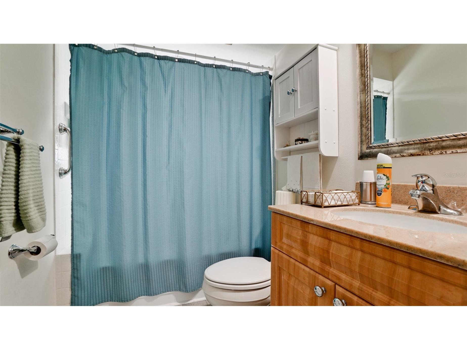 11009 Jasmine Circle Bradenton FL 34209 A4688452 image30