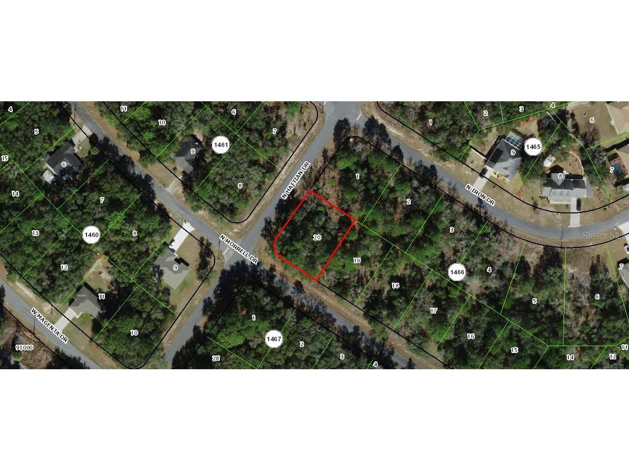 11009 N Morrell Drive Citrus Springs FL 34434 TB8343493 image1