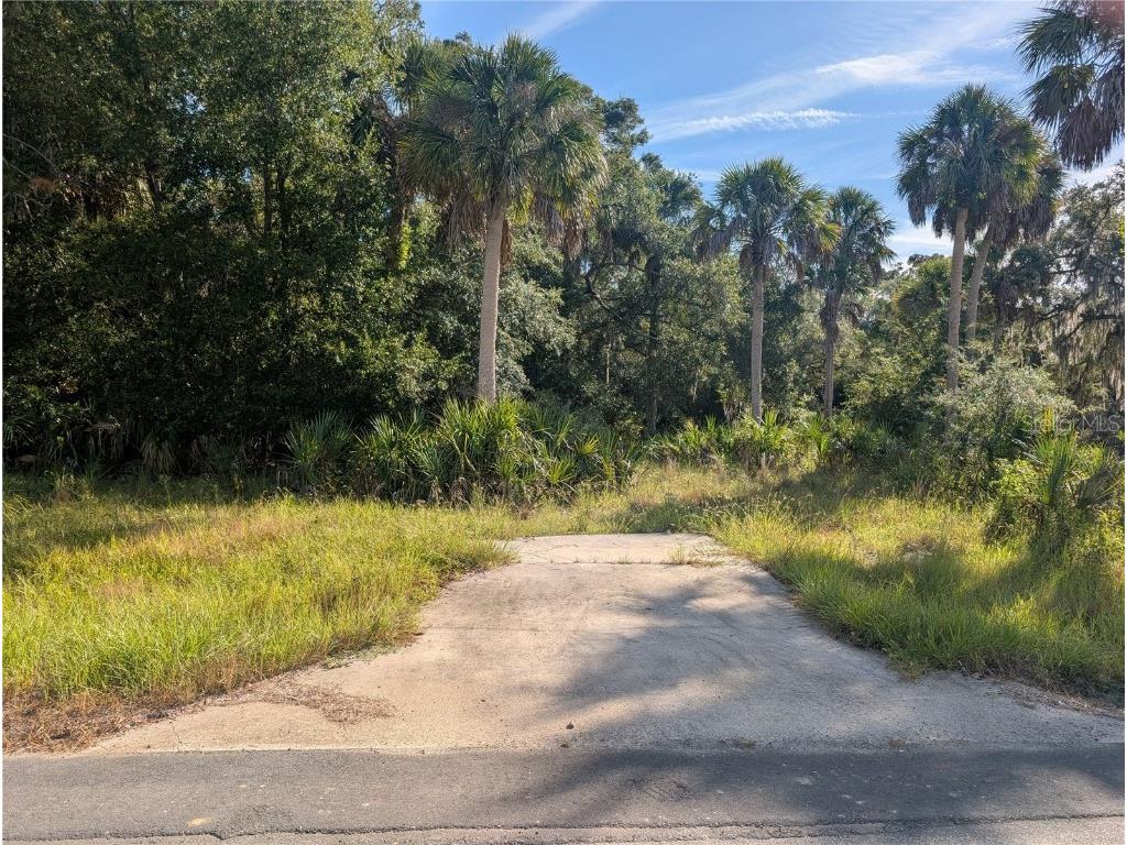 11009 N Withla Bluff Point Inglis FL 34449 A4667577 image11