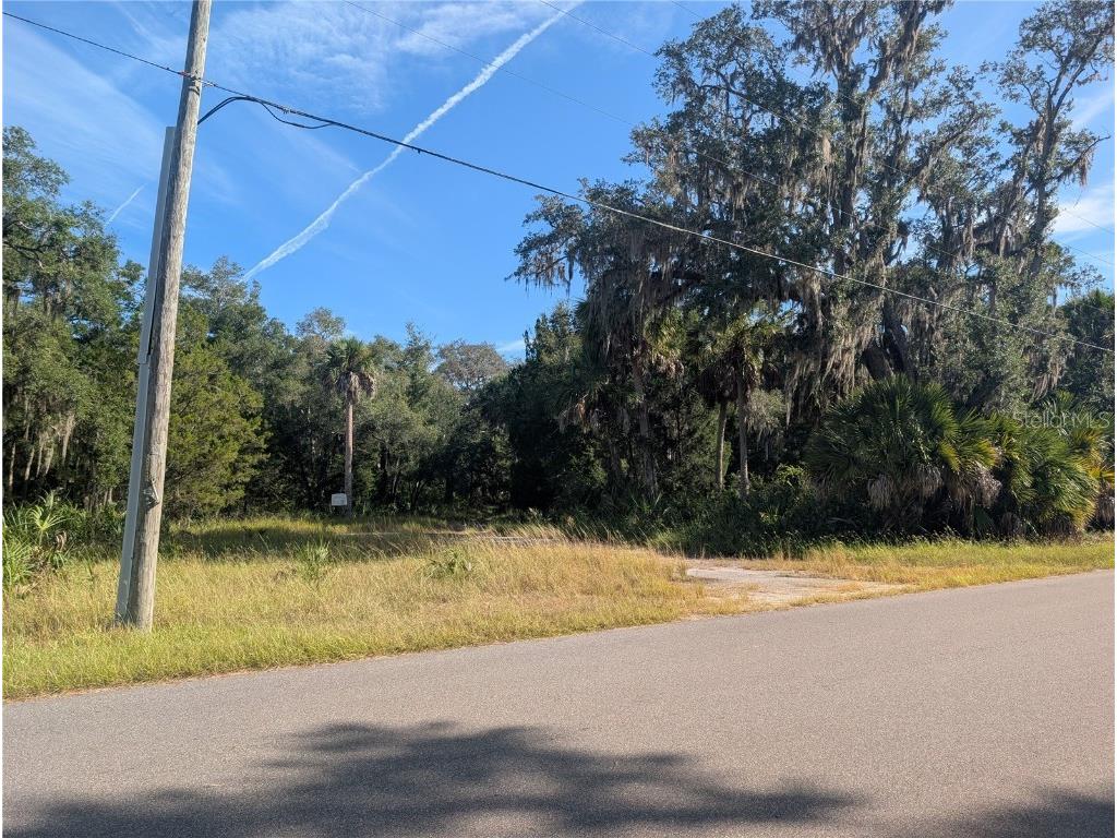 11009 N Withla Bluff Point Inglis FL 34449 A4667577 image14