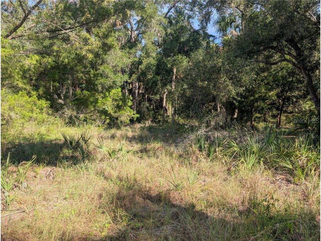 11009 N Withla Bluff Point Inglis FL 34449 A4667577 image15