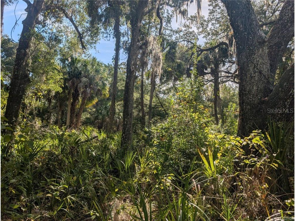 11009 N Withla Bluff Point Inglis FL 34449 A4667577 image16