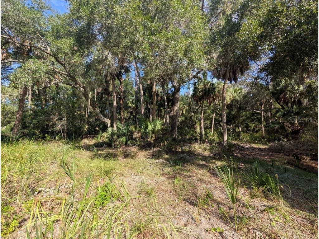 11009 N Withla Bluff Point Inglis FL 34449 A4667577 image17