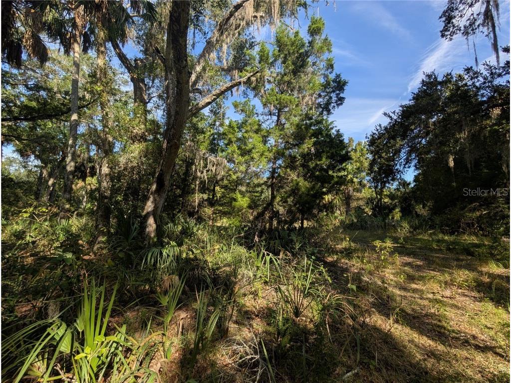 11009 N Withla Bluff Point Inglis FL 34449 A4667577 image20