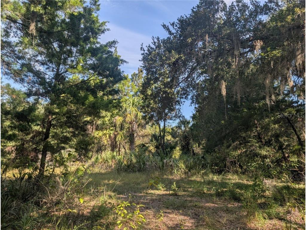 11009 N Withla Bluff Point Inglis FL 34449 A4667577 image21