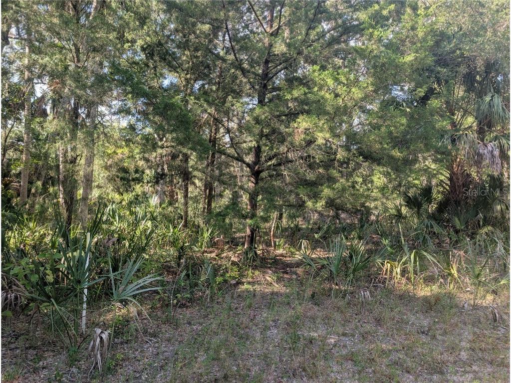 11009 N Withla Bluff Point Inglis FL 34449 A4667577 image23