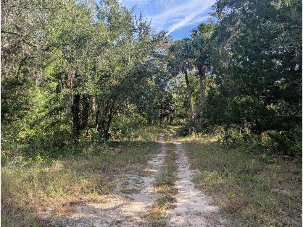 11009 N Withla Bluff Point Inglis FL 34449 A4667577 image24