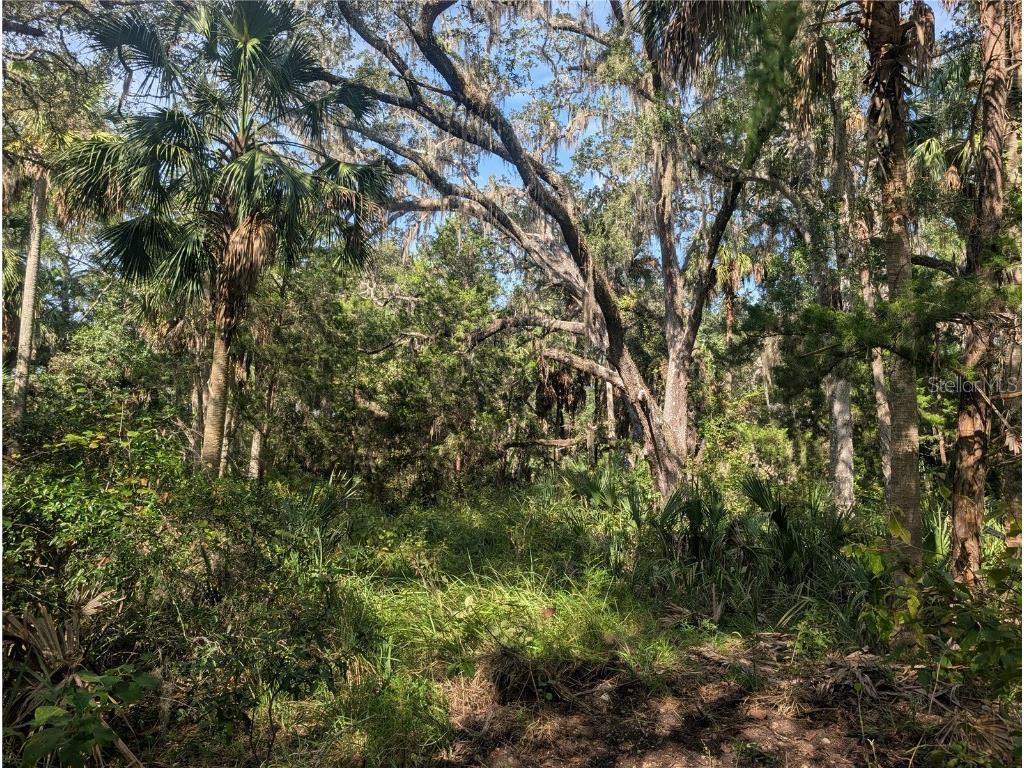 11009 N Withla Bluff Point Inglis FL 34449 A4667577 image25