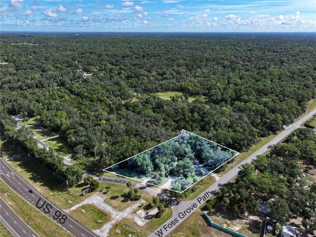 11009 N Withla Bluff Point Inglis FL 34449 A4667577 image6